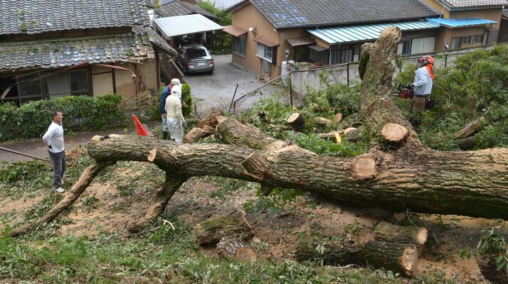 神社境内の倒木を撤去する氏子関係者＝21日午後１時40分、足利市迫間町
