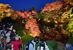 明かりに浮かび上がる逍遥園の紅葉に見入る人たち＝５日午後５時20分、日光市山内