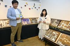 「小山のムシキング」妻が企画　チョウ標本や昆虫グッズ、ハンドメイド作品…