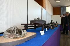 “表情”異なる石 会員が２９点展示