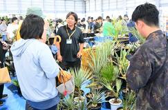 希少植物求めにぎわう