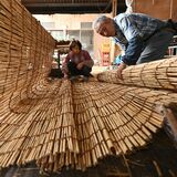 栃木でよしず作り最盛期　日よけで夏場の風物詩