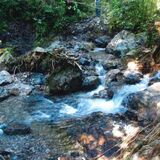 「こんなに荒れているのは初めて」鹿沼・石裂山登山道　雨で崩壊か　入山自粛呼びかけ