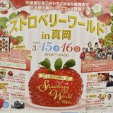 真岡で“日本最大級”のイチゴフェス　15、16日　全国からブランドイチゴやスイーツ集結