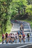 自転車ロードレースに熱戦 宇都宮