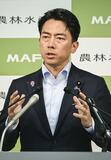 １７都府県で５割超
