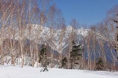 雪崩を起こした側も膝が震えます