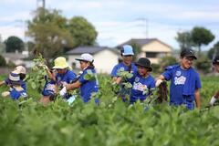 枝豆収穫を体験 作業の苦労学ぶ