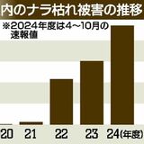 栃木県内「ナラ枯れ」 、過去最多の１万4114本に　拡大続けば住宅被害や森林機能の低下の恐れも