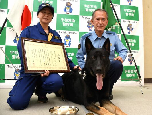 感謝状を贈られた警察犬のヘラーと指導士の池田さん（左）＝26日午後、宇都宮南署