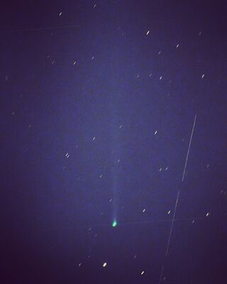 尾を引く緑色の新彗星「西村彗星」＝小倉浩さん提供（１４枚を合成）