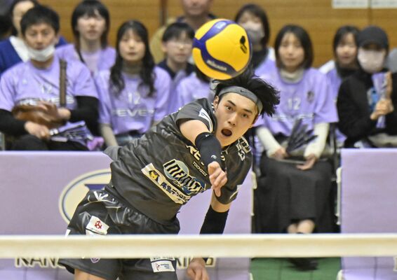 第１セット、サーブを放つレーヴィスの十文字＝フカイスクエアガーデン足利