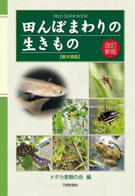改訂新版　田んぼまわりの生きもの