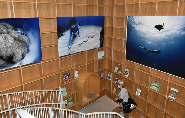 みるる館内で開催中の二木さんの写真展