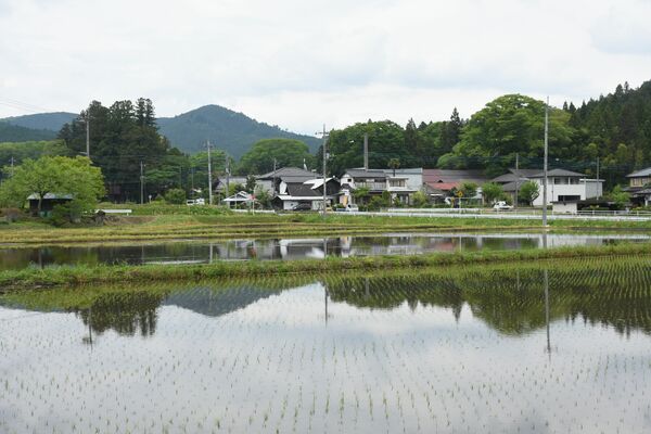 杉の山、水田の八溝地域の山里にたたずむ渡邉酒造（煙突のある所）＝大田原市須佐木