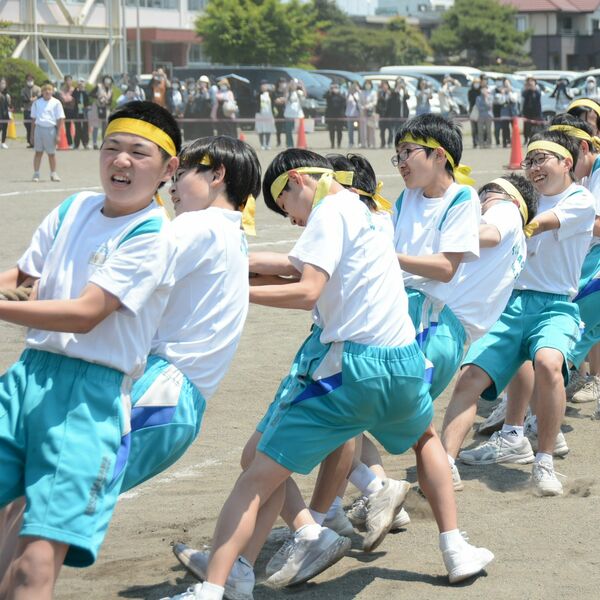 img_d9fb99e8caaf48e155661c8190