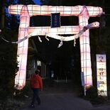 毎年色が変わる大鳥居、今年は「さくら色」　下野星宮神社に出現