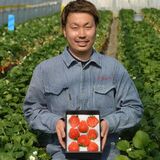 全国いちご選手権で茂木・鈴木さんが金賞　”驚くほどの甘さ”の「やよいひめ」