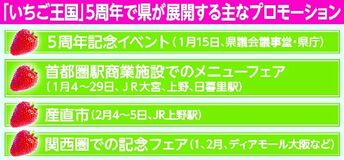 「いちご王国」宣言５周年　節目祝い多彩な催し展開　宇都宮や首都圏、関西圏でも