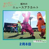 2月8日の栃木県内ニュース　「宇都宮でティラノサウルスレース　色とりどり『130匹』」など3本をお届けします
