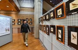 英国野鳥の貴重な版画