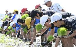 泥の感触に児童歓声
