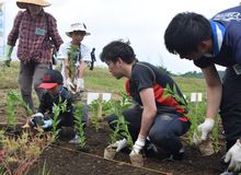 トウガラシでホットな交流　移住希望者ら苗植え体験　大田原