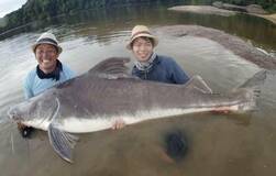 最大級ナマズ 人生の転機