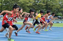 県小学生陸上が初開催