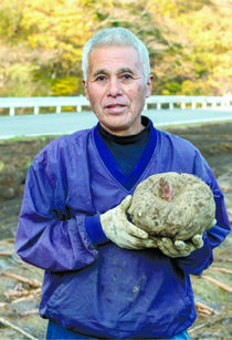 ＜192＞こんにゃく本来のおいしさを伝えたいJAかみつがの「コンニャク芋」 
