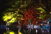 出流原弁天池ライトアップ