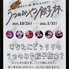 タイパ餃子旅、チルい餃子旅…簡単診断でお薦め観光コース提案「ギョーザだけではない魅力知って」宇都宮