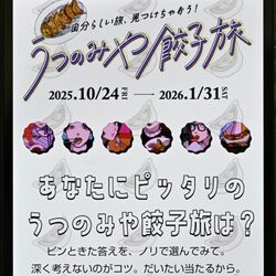 タイパ餃子旅、チルい餃子旅…簡単診断でお薦め観光コース提案「ギョーザだけではない魅力知って」宇都宮
