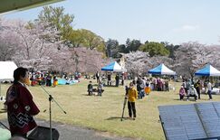 見頃の桜や催し楽しむ　栃木・つがの里で４年ぶり「花彩祭」