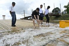 水しぶき、涼を求めて…　観光客でにぎわう那須烏山「矢沢のヤナ」