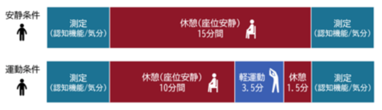 3分30秒の軽運動で子どもの認知機能や気分が向上
