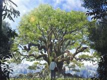 言葉ではなくイメージで