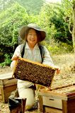 Interview　島田養蜂園　島田弘子さん