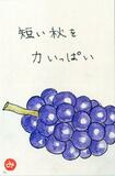読者登壇