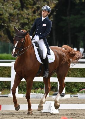 馬術成年男子自由演技馬場馬術　同種別で県勢初の優勝を果たした鈴木とファーストオリバー号＝那須塩原市の地方競馬教養センター