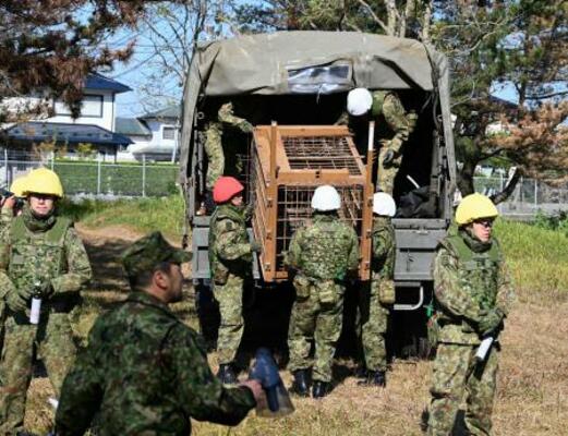 　陸上自衛隊秋田駐屯地での訓練で、箱わなを運ぶ隊員＝３０日午前、秋田市（陸自提供）