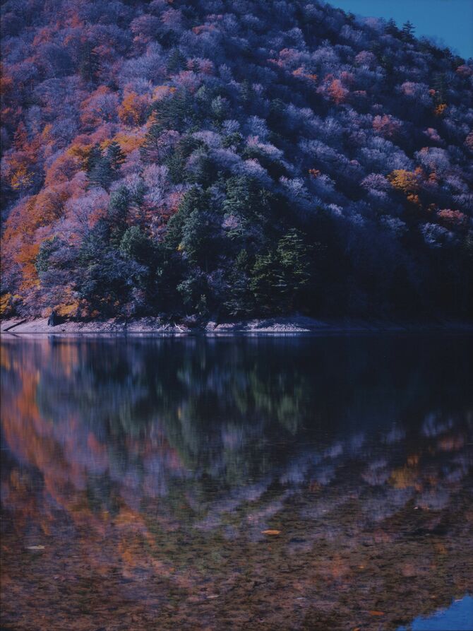「湖水鏡」小原知道（宇都宮）