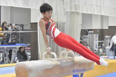 体操個人総合、男子は柳畑(渡良瀬クラブ)、女子は坂原(小野クラブ)がV…