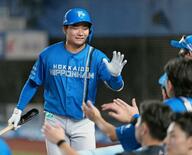 ロ３―４日（２８日）