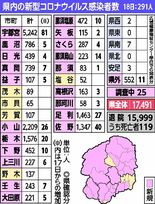 過去最多291人感染　保育施設などクラスター３件　栃木県内、新型コロナ…