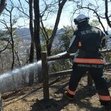 林野火災の初動対応確認　本部設置や消火活動を訓練　足利