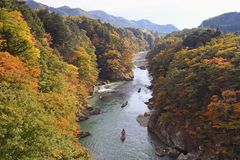 鬼怒川温泉街 ライン下りで紅葉めぐり　日光