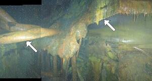 福島原発３号機の原子炉底部に穴