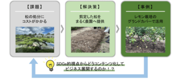 【丸亀市】2025年版「世界の持続可能な観光地TOP100選」に選出