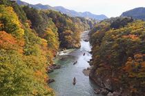 鬼怒川温泉街 ライン下りで紅葉めぐり　日光